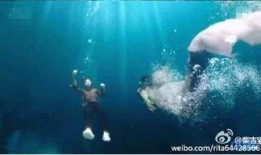 蓝色海洋的传说在线观看